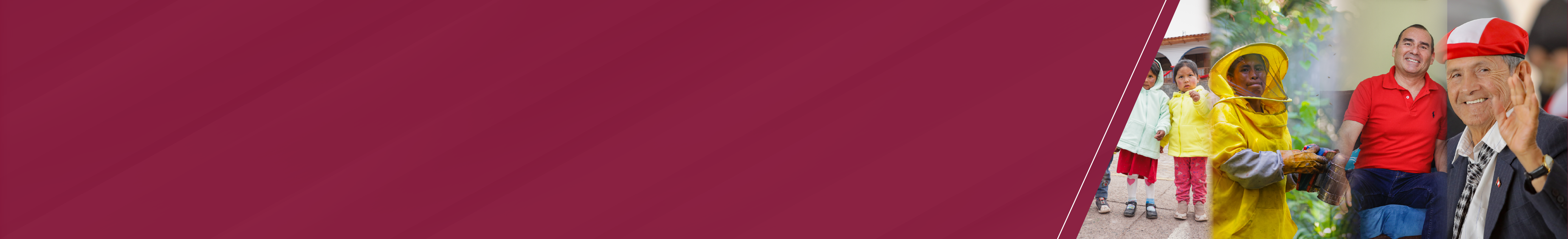 Banner - Población y Dependencia